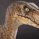 Illustration for article titled Back to emJurassic Park/em: A Paleontological View